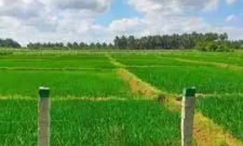 AP ने 600 करोड़ रुपये पाने के लिए किसान रजिस्ट्री में तेजी लाई AP ने 600 करोड़ रुपये पाने के लिए किसान रजिस्ट्री में तेजी लाई