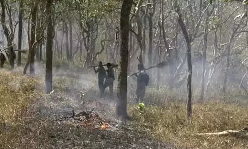 Karnataka: वन विभाग ने जंगल में आग रोकने के लिए उठाए कदम