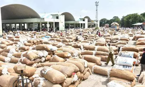 Adilabad के किसानों को डर, जल्द ही कपास की खरीद बंद कर दी जाएगी