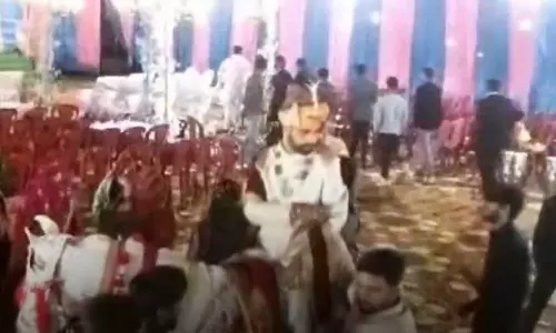घोड़ी पर दूल्हे ने ली आखिरी सांस, LIVE वीडियो हुआ वायरल घोड़ी पर दूल्हे ने ली आखिरी सांस, LIVE वीडियो हुआ वायरल
