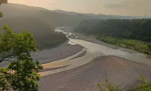 Himachal: बड़े पैमाने पर वनों की कटाई, पहाड़ियों की अंधाधुंध कटाई चिंता का विषय