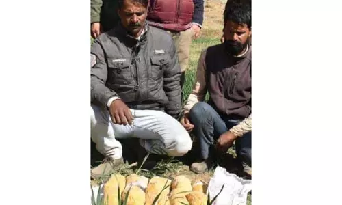 Jammu: सीमा पार तस्करों के गिरोह का भंडाफोड़, 6 किलो हेरोइन जब्त Jammu: सीमा पार तस्करों के गिरोह का भंडाफोड़, 6 किलो हेरोइन जब्त