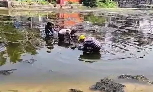 जलस्तर में कमी की चिंताओं के बीच WRD ने कोल्वा क्रीक में शैवाल की सफाई शुरू की