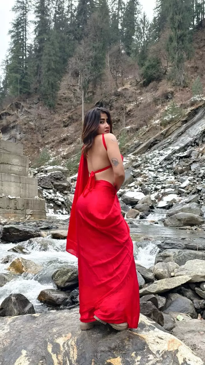 रेड साड़ी के साथ स्टाइलिश ब्लाउज में छाई सोफिया अंसारी