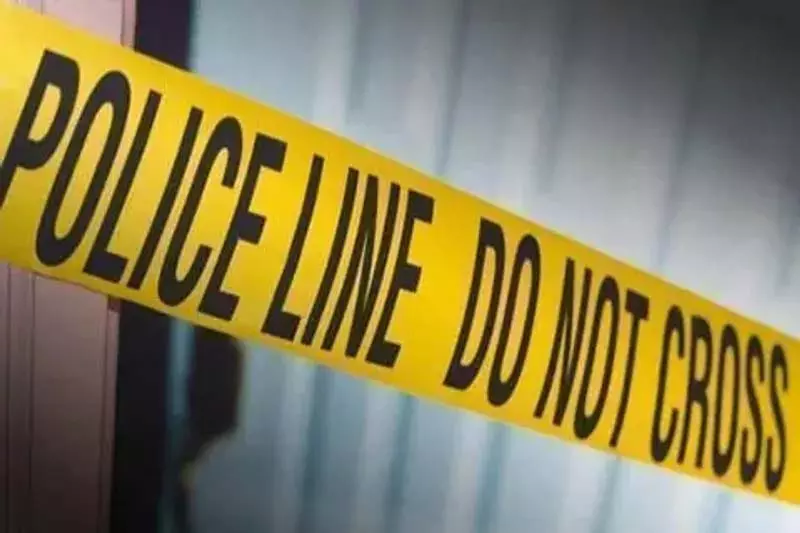 पुलवामा गांव में चोरों ने पौधों की नर्सरी लूट ली पुलवामा गांव में चोरों ने पौधों की नर्सरी लूट ली