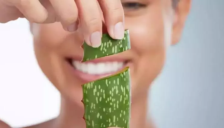 Skin Care: सुबह उठते ही चेहरे पर लगाएं ये खास चीज, स्किन हाइड्रेट रहेगी और झुर्रियों से भी मिलेगी राहत Skin Care: सुबह उठते ही चेहरे पर लगाएं ये खास चीज, स्किन हाइड्रेट रहेगी और झुर्रियों से भी मिलेगी राहत