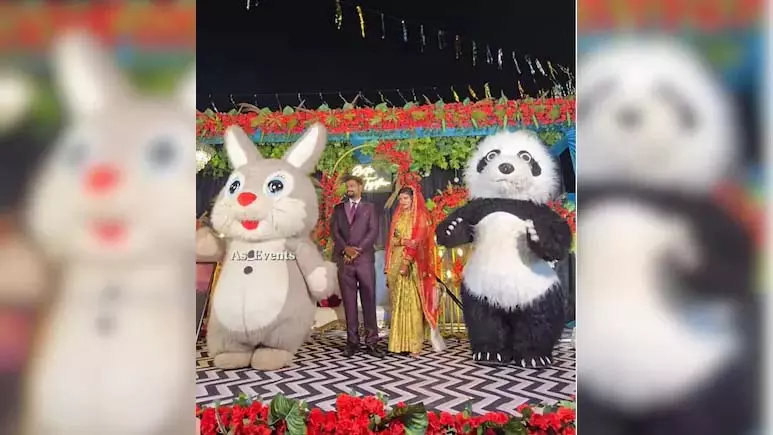 स्टेज पर दूल्हा-दुल्हन के बीच आ धमके पांडा-खरगोश, जमकर वायरल हुआ VIDEO स्टेज पर दूल्हा-दुल्हन के बीच आ धमके पांडा-खरगोश, जमकर वायरल हुआ VIDEO