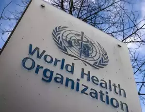 यूरोपीय स्वास्थ्य अधिकारियों ने WHO से अधिक सहयोग का आग्रह किया यूरोपीय स्वास्थ्य अधिकारियों ने WHO से अधिक सहयोग का आग्रह किया