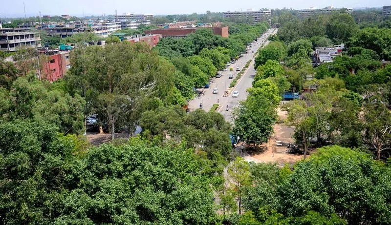 चंडीगढ़ में दो साल में हरित क्षेत्र 5.66 वर्ग किलोमीटर बढ़ा: लोकसभा को बताया चंडीगढ़ में दो साल में हरित क्षेत्र 5.66 वर्ग किलोमीटर बढ़ा: लोकसभा को बताया