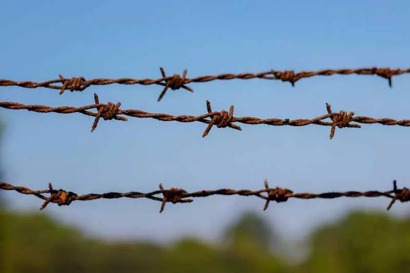 Jalandhar: अवैध आव्रजन को बढ़ावा देने वाले ट्रैवल एजेंटों के खिलाफ कार्रवाई करें Jalandhar: अवैध आव्रजन को बढ़ावा देने वाले ट्रैवल एजेंटों के खिलाफ कार्रवाई करें