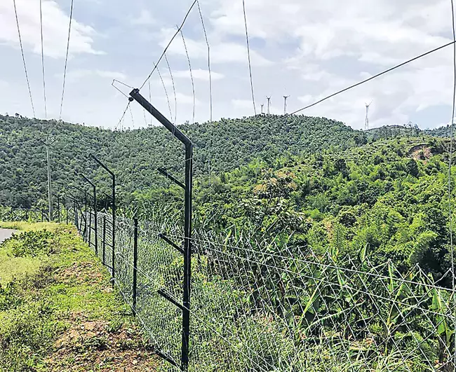 Telangana: बंदरों और जंगली जानवरों के कारण 5 लाख फसलों को नुकसान Telangana: बंदरों और जंगली जानवरों के कारण 5 लाख फसलों को नुकसान
