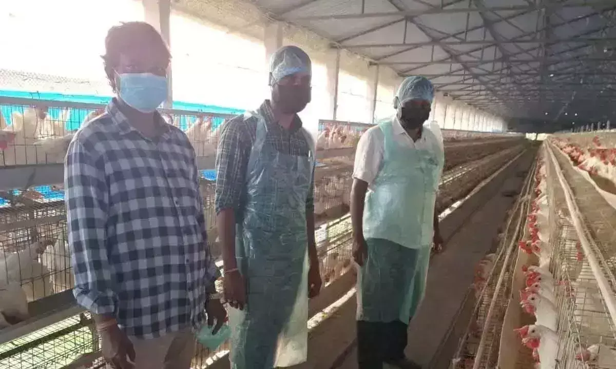 Andhra Pradesh: बर्ड फ्लू की रोकथाम के उपाय तेज