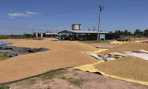 Odisha: ओडिशा में खरीद में लापरवाही के लिए दो लोग निलंबित Odisha: ओडिशा में खरीद में लापरवाही के लिए दो लोग निलंबित