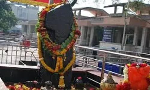 Maharashtra: नियम जारी, अब शनिदेव की पूजा सिर्फ ब्रांडेड तेल से होगी, लूज तेल से नहीं Maharashtra: नियम जारी, अब शनिदेव की पूजा सिर्फ ब्रांडेड तेल से होगी, लूज तेल से नहीं