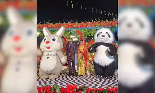 स्टेज पर दूल्हा-दुल्हन के बीच आ धमके पांडा-खरगोश, जमकर वायरल हुआ VIDEO
