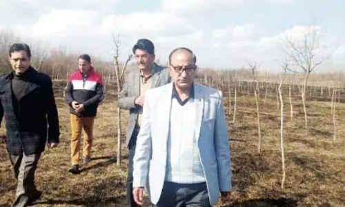 रेशम उत्पादन निदेशक ने Anantnag में शहतूत रोपण अभियान का उद्घाटन किया