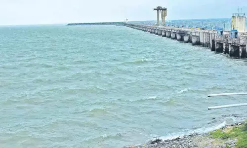 Telangana: किसानों के लिए संकट गहराया, सिंचाई सहायता के अभाव में फसलें सूख रही Telangana: किसानों के लिए संकट गहराया, सिंचाई सहायता के अभाव में फसलें सूख रही