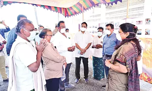 Andhra: चिकन फार्मों में खराब स्वच्छता के कारण वायरस फैला