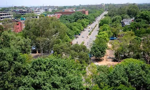 Chandigarh में दो साल में हरित क्षेत्र 5.66 वर्ग किलोमीटर बढ़ा
