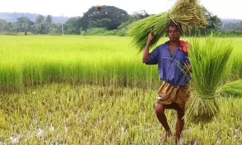 Telangana के किसान को जैविक खेती को बढ़ावा देने के लिए प्रतिष्ठित पुरस्कार मिला