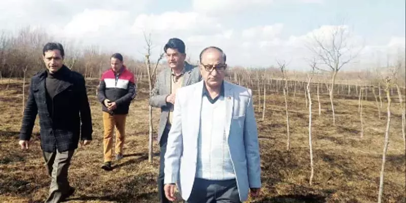 रेशम उत्पादन निदेशक ने अनंतनाग में शहतूत रोपण अभियान का उद्घाटन किया रेशम उत्पादन निदेशक ने अनंतनाग में शहतूत रोपण अभियान का उद्घाटन किया