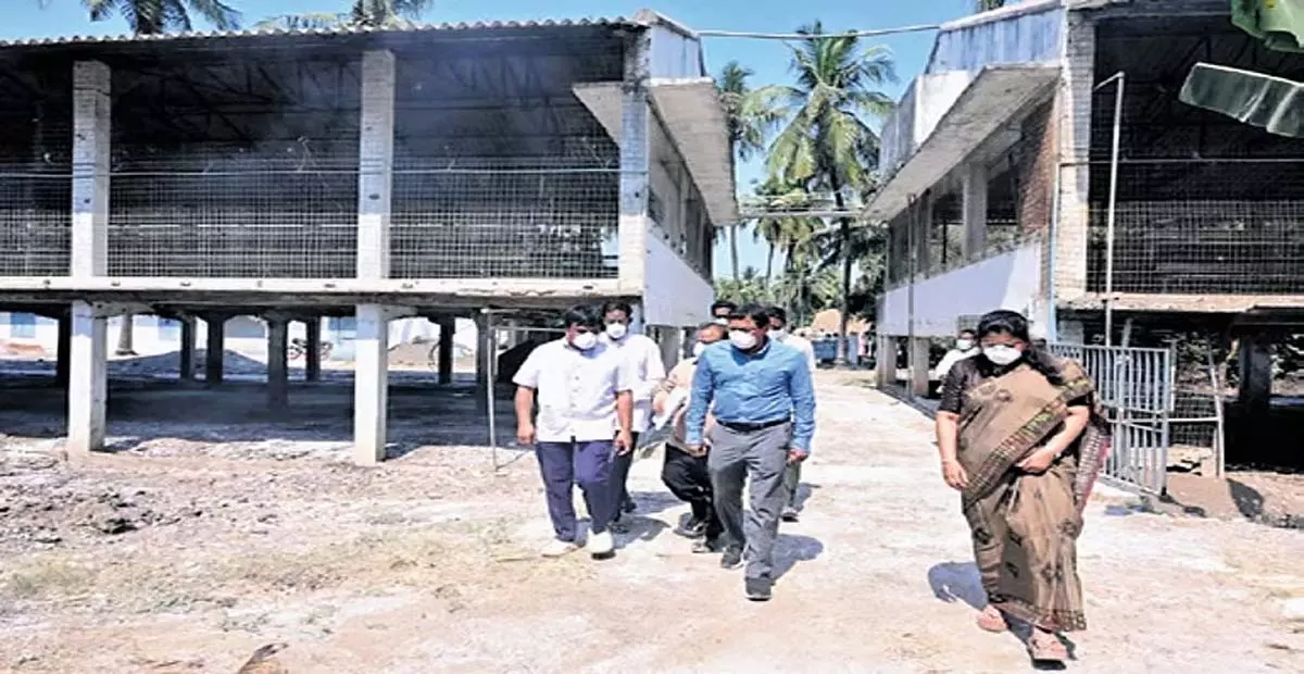 Andhra: पिछले कुछ समय में बर्ड फ्लू का कोई नया मामला सामने नहीं आया Andhra: पिछले कुछ समय में बर्ड फ्लू का कोई नया मामला सामने नहीं आया