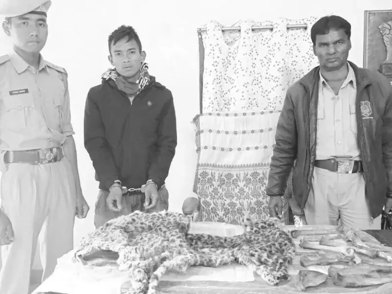 Assam: डिब्रूगढ़ में तेंदुए की खाल और हड्डियों के साथ दो लोग गिरफ्तार Assam: डिब्रूगढ़ में तेंदुए की खाल और हड्डियों के साथ दो लोग गिरफ्तार