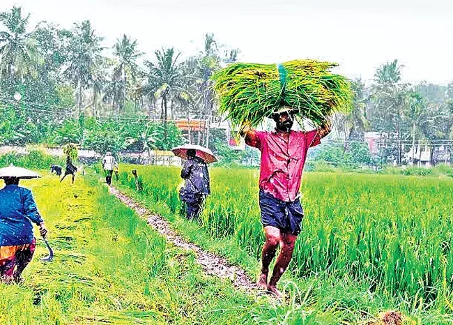 Odisha: मुख्यमंत्री माझी विधानसभा में बजट पेश करेंगे Odisha: मुख्यमंत्री माझी विधानसभा में बजट पेश करेंगे