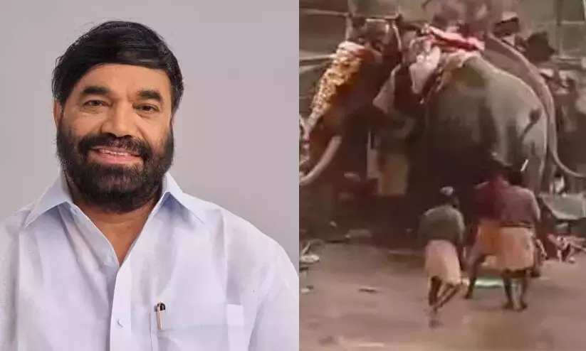 मनक्कारा मंदिर उत्सव के दौरान हाथी दुर्घटना; मृतकों के परिवारों को मुआवजा दिया मनक्कारा मंदिर उत्सव के दौरान हाथी दुर्घटना; मृतकों के परिवारों को मुआवजा दिया