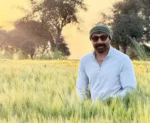 Sunny Deol खेतों में बैसाखी की तैयारी करते हुए, अपनी जाट जड़ों को गले लगाते हुए Sunny Deol खेतों में बैसाखी की तैयारी करते हुए, अपनी जाट जड़ों को गले लगाते हुए