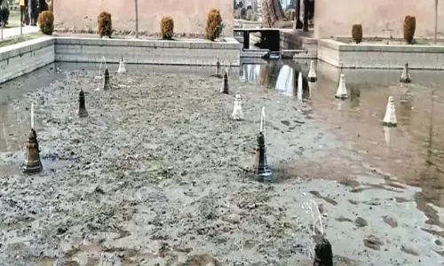 झरने, नदियां, झेलम की सहायक नदियां सूख गईं