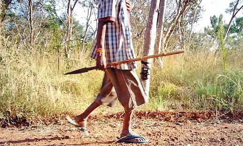 मध्य प्रदेश में शिकारियों की सक्रियता को देखते हुए रेड अलर्ट जारी