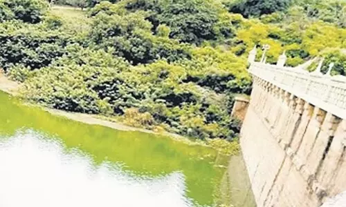 Karnataka: बीडब्ल्यूएसएसबी ने कावेरी जल कनेक्शन बढ़ाने के लिए अभियान तेज किया Karnataka: बीडब्ल्यूएसएसबी ने कावेरी जल कनेक्शन बढ़ाने के लिए अभियान तेज किया