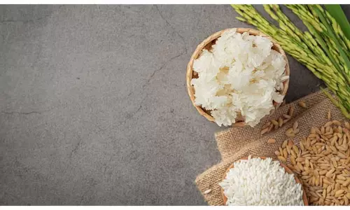 Side Effects Of Rice Water: कोरियन स्किन केयर पसंद है तो चेहरे पर चावल का पानी लगाने के नुकसान जान लें Side Effects Of Rice Water: कोरियन स्किन केयर पसंद है तो चेहरे पर चावल का पानी लगाने के नुकसान जान लें