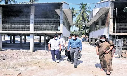 Andhra: पिछले कुछ समय में बर्ड फ्लू का कोई नया मामला सामने नहीं आया