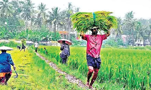 Odisha: मुख्यमंत्री माझी विधानसभा में बजट पेश करेंगे