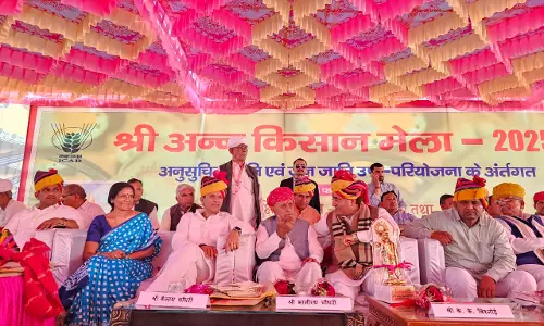 Jaipur: बाजरा अनुसंधान संस्थान से किसानों को मिलेगा उन्नत किस्मों और नई तकनीकों का लाभ