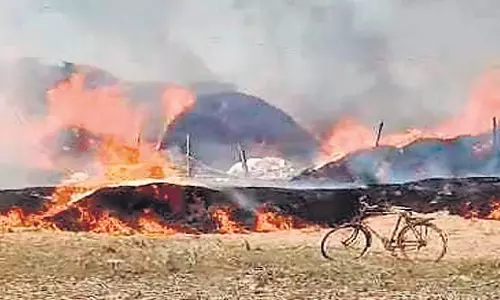 Odisha: ओडिशा में आग लगने से धान की फसल राख हो गई Odisha: ओडिशा में आग लगने से धान की फसल राख हो गई