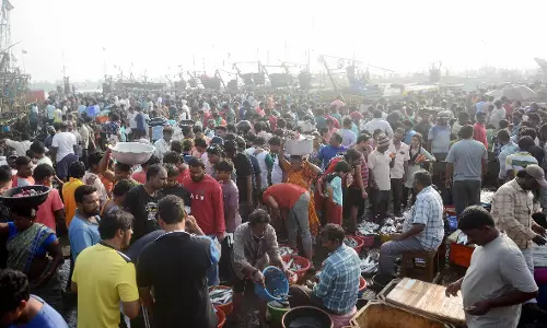 Vizag में मछली पकड़ने वाले बंदरगाह पर 150 टन मछलियाँ बिकीं Vizag में मछली पकड़ने वाले बंदरगाह पर 150 टन मछलियाँ बिकीं
