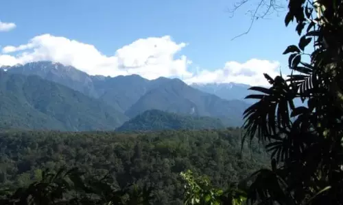 विशेषज्ञ का कहना है कि Assam को 2040 तक जलवायु परिवर्तन का सामना करना पड़ेगा