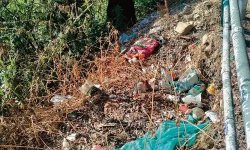Himachal: सड़क किनारे प्लास्टिक कचरा पर्यावरण के लिए खतरा बन रहा Himachal: सड़क किनारे प्लास्टिक कचरा पर्यावरण के लिए खतरा बन रहा