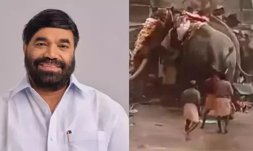 मनक्कारा मंदिर उत्सव के दौरान हाथी दुर्घटना; मृतकों के परिवारों को मुआवजा दिया