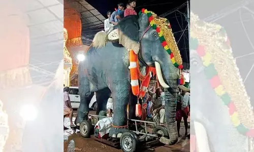 Thrissur की टीम ने मंदिर जुलूस के लिए रोबोटिक हाथियों को पेश किया