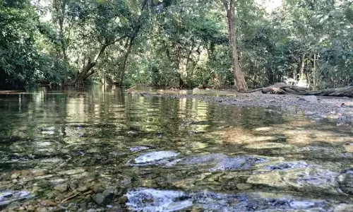 Assam: सरकार ने चिरांग-रिपु हाथी रिजर्व को 8वें राष्ट्रीय उद्यान के रूप में अधिसूचित किया