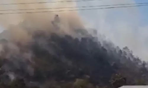 कांकेर शहर से सटे पहाड़ी आग की चपेट में, वन विभाग ने बुलाई दमकल की गाड़ियां कांकेर शहर से सटे पहाड़ी आग की चपेट में, वन विभाग ने बुलाई दमकल की गाड़ियां