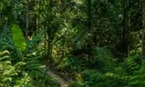 GOA: अस्सागाओ में वन विनाश के खिलाफ आवाज बुलंद