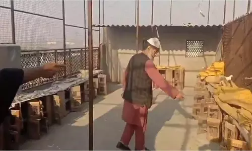 घर की छत से 10 लाख के 400 कबूतर चोरी, चोरों की चाल से मालिक हैरान घर की छत से 10 लाख के 400 कबूतर चोरी, चोरों की चाल से मालिक हैरान