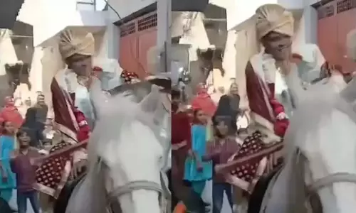 घोड़ी ने दूल्हे को ऐसा गिराया, देखते रह गए लोग, VIDEO...