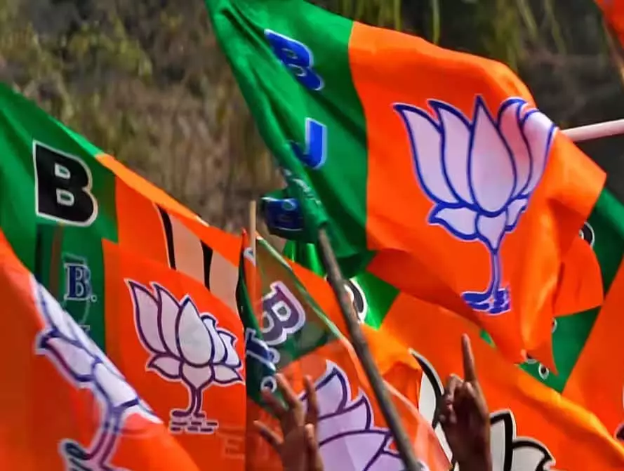 भाजपा के 115 प्रत्याशियों ने जीते जिला पंचायत सदस्य का चुनाव भाजपा के 115 प्रत्याशियों ने जीते जिला पंचायत सदस्य का चुनाव