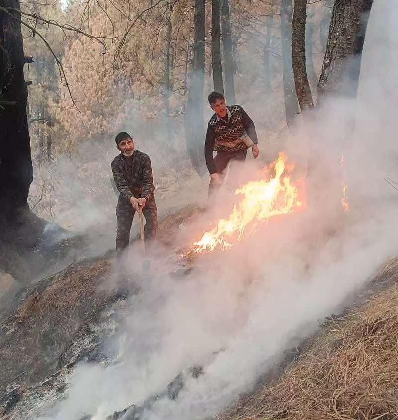 अपर्याप्त बर्फबारी के कारण Gulmarg में शीतकालीन खेल स्थगित अपर्याप्त बर्फबारी के कारण Gulmarg में शीतकालीन खेल स्थगित